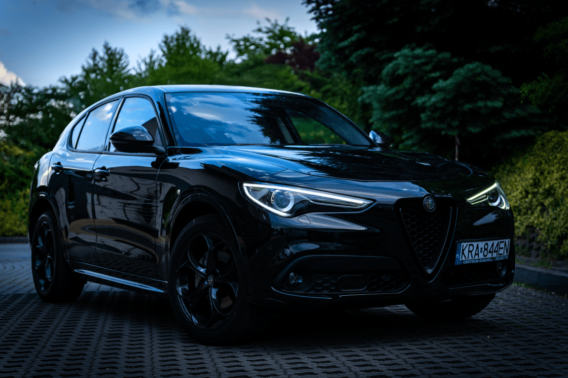 Alfa Romeo Stelvio Turbo - zdjęcie 18